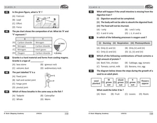 119
UN426
© Brain Mapping Academy
C L A S S : 5
# In the given figure, what is ‘X’ ?
(A) Fulcrum
(B) Load
(C) Effort
(D) Force
$ The pie chart shows the composition of air. What do ‘X’ and
‘Y’ represent ?
X Y
Carbon dioxide
Nitrogen
Nitrogen
Oxygen
Nitrogen
Carbon dioxide
Inert gases
Carbon dioxide
(A)
(B)
(C)
(D)
X (78%)
Y (0.03%)
% Granite is a hard material and forms from cooling magma.
Granite is a type of ___________.
(A) lava stone (B) igneous rock
(C) volcanic dust (D) sedimentary rock
 The part labelled ‘S’ is a
(A) fixed joint
(B) ball and socket joint
(C) hinge joint
(D) pivotal joint
' Which of these breathe in the same way as the fish ?
(A) Tadpole (B) Caterpillar
(C) Whale (D) Worm
S
P
:
120
UN426
© Brain Mapping Academy
C L A S S : 5
# What will happen if the small intestine is missing from the
digestive tract ?
(i) Digestion would not be completed.
(ii) The body will not be able to absorb the digested food.
(iii) The food will not be churned.
(A) i only (B) i and ii only
(C) ii and iii only (D) i, ii, iii and iv
# In which of the following processes is oxygen used ?
(i) Burning (ii) Respiration (iii) Photosynthesis
(A) Only (i) and (ii) (B) Only (ii) and (iii)
(C) Only (i) and (iii) (D) (i), (ii) and (iii)
# Which of the following combinations of food contains a
high amount of protein ?
(A) Beef, fish, chicken (B) Cabbage, egg, tomato
(C) Tomato, carrot, milk (D) Banana, rice, egg
#! The diagram below shows the steps during the growth of a
seed to an adult plant.
seed
planted
W
grows
out
shoot
grows
out
X
grows
out
flowers
appear
What could the letter X be ?
(A) Stem (B) Fruit (C) Leaves (D) Roots
 