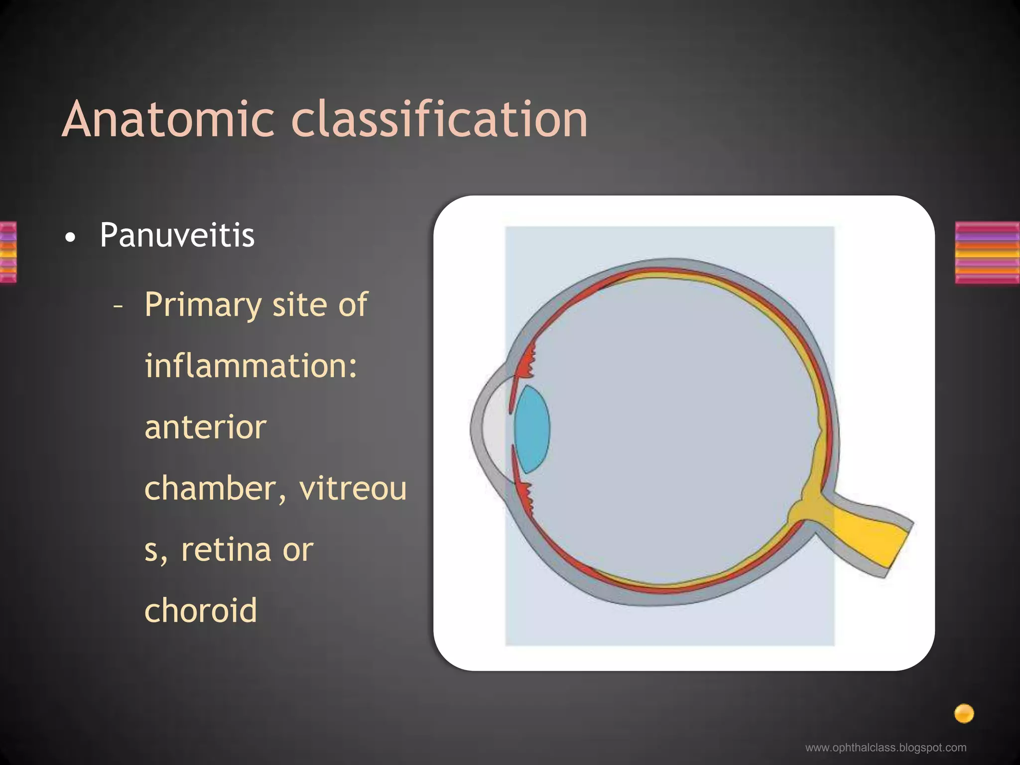 Anatomic classificationPanuveitisPrimary site of inflammation: anterior chamber, vitreous, retina or choroid