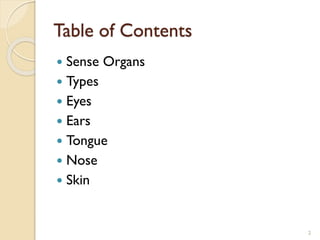 Class 5 PPT on Human Sense Organ (1).pdf