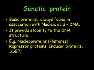 Genetic protein
• Basic proteins, always found in
association with Nucleic acid – DNA.
• It provide stability to the DNA
structure,
• E.g. Nucleoproteins (Histones),
Repressor proteins, Inducer proteins,
SSBP.
 