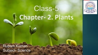 Class-5
Chapter- 2. Plants
Rupam Kumari
Subject- Science
 