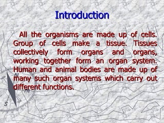 Introduction All the organisms are made up of cells. Group of cells make a tissue. Tissues collectively form organs and organs, working together form an organ system. Human and animal bodies are made up of many such organ systems which carry out different functions. 