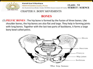 Class 6 chapter 8 ppt 2 | PPTX