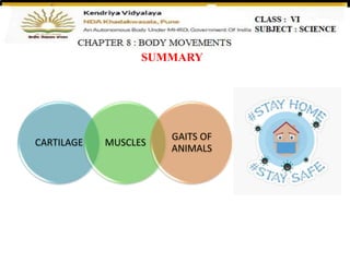 SUMMARY
CARTILAGE MUSCLES
GAITS OF
ANIMALS
 