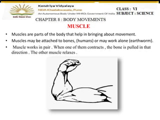 MUSCLE
• Muscles are parts of the body that help in bringing about movement.
• Muscles may be attached to bones, (humans) or may work alone (earthworm).
• Muscle works in pair . When one of them contracts , the bone is pulled in that
direction . The other muscle relaxes .
 