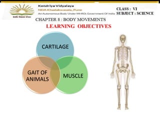 LEARNING OBJECTIVES
CARTILAGE
MUSCLE
GAIT OF
ANIMALS
 