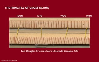 GEOG3839_6_CrossDating | PDF