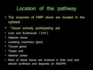 Location of the pathway
• The enzymes of HMP shunt are located in the
cytosol
• Tissue actively participating are
• Liver and Erythrocyte (30%)
• Adipose tissue
• Lactating mammary gland
• Thyroid gland
• Testes and
• Adrenal cortex
• Most of these tissue are involved in fatty acid and
steroid synthesis and depends on NADPH
 