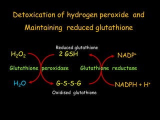 glutathione injection terminal white Glutathione inj. gluta terminal white plus body wash. Strong whitening –  Trendy Africa Boutique