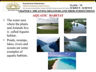 AQUATIC HABITAT
• The water area
where the plants
and Animals live
is called Aquatic
habitat .
• Ponds, swamps,
lakes, rivers and
oceans are some
examples of
aquatic habitats.
 