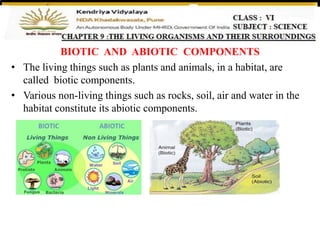 BIOTIC AND ABIOTIC COMPONENTS
• The living things such as plants and animals, in a habitat, are
called biotic components.
• Various non-living things such as rocks, soil, air and water in the
habitat constitute its abiotic components.
 