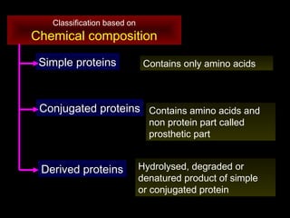 Class 6 protein chemical clssification | PPT