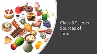 Class 6 Science
Sources of
food
 