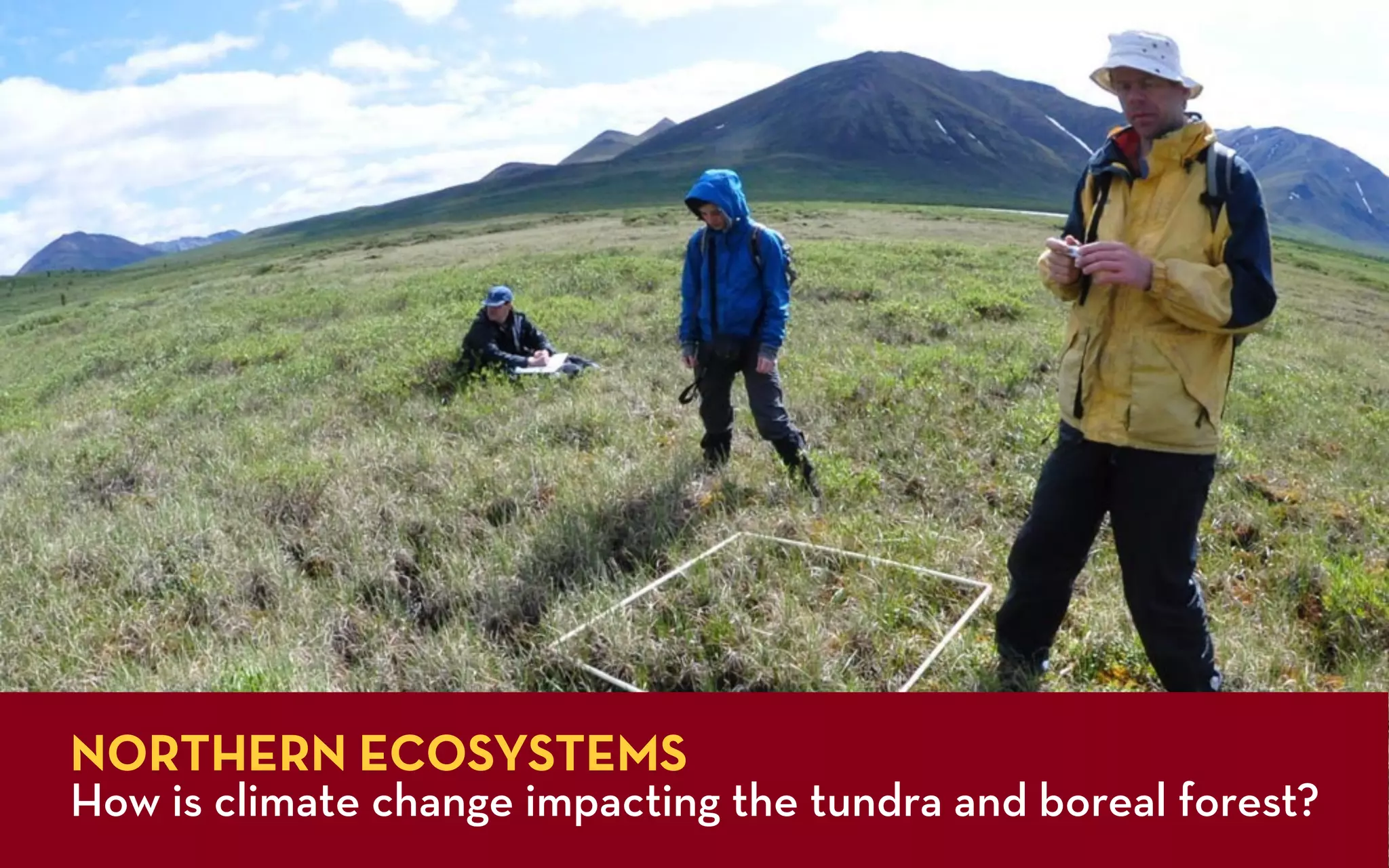NORTHERN ECOSYSTEMS
How is climate change impacting the tundra and boreal forest?
 