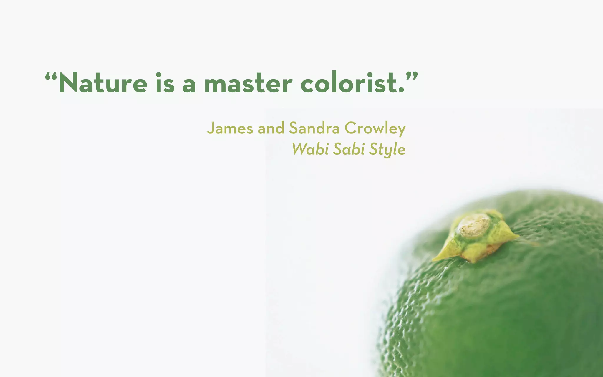 “Nature is a master colorist.”
             James and Sandra Crowley
                       Wabi Sabi Style
 