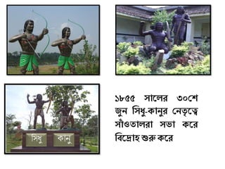 কা ুবসধু
১৮৫৫ সাকলর ৩০শি
জুন শসধু-োনুর শনতৃ কে
সাাঁ ওতালরা সো েকর
শবকরাে শুরু েকর
 