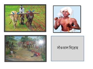 সাাঁ ওতাল বিদ্রাহ
 