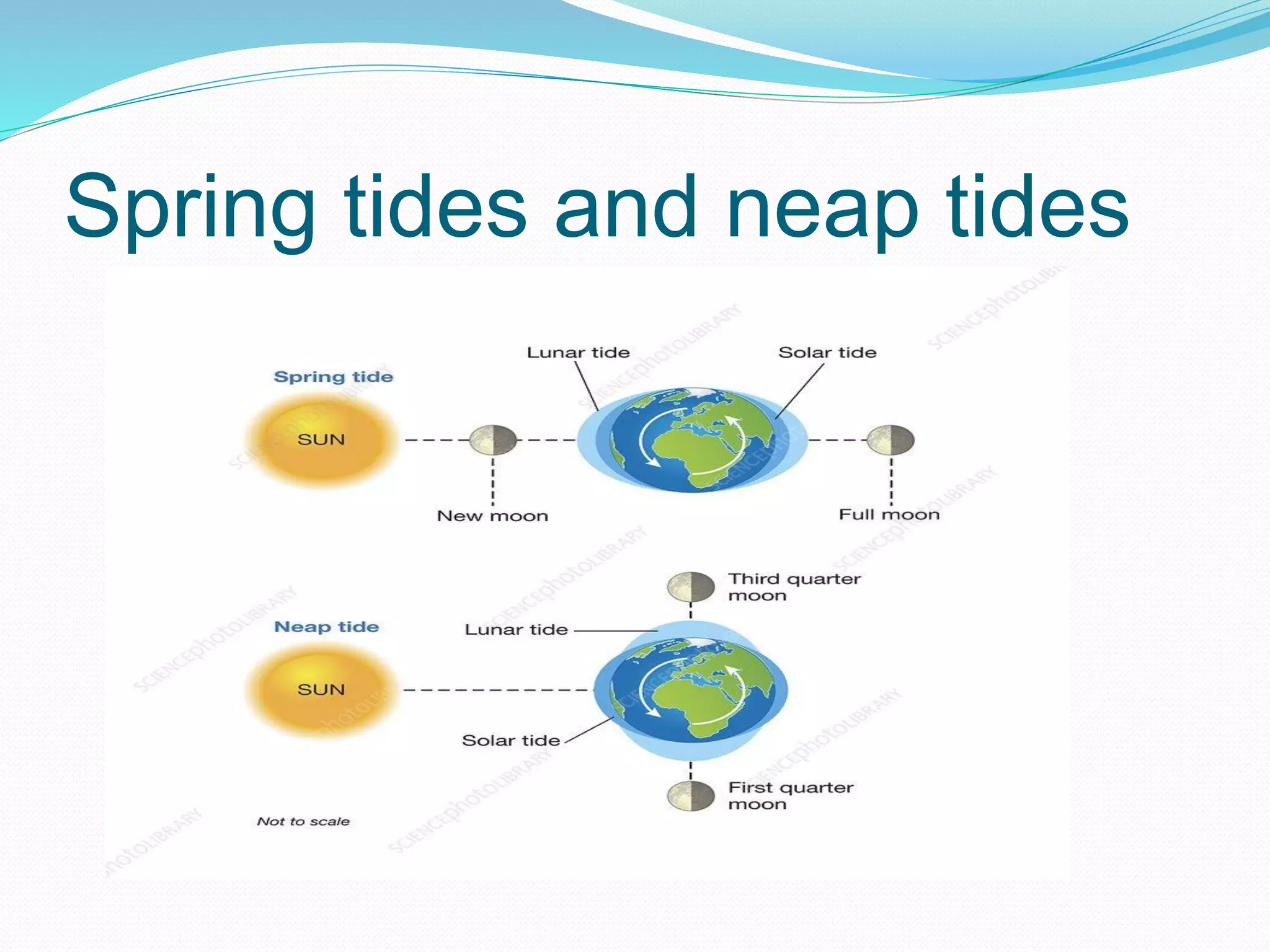 Spring tides and neap tides
 