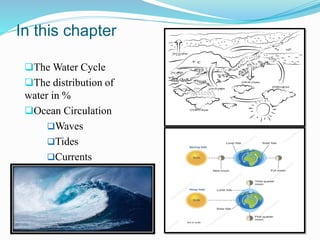 In this chapter
❑The Water Cycle
❑The distribution of
water in %
❑Ocean Circulation
❑Waves
❑Tides
❑Currents
 