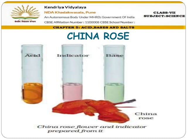 Class 7 chapter 5 Acids ,bases and salts ppt 1 | PPTX