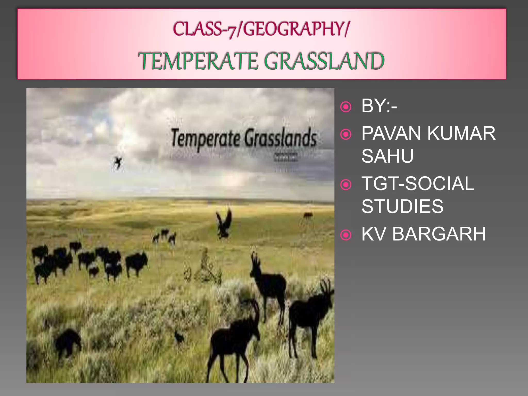 Temperate Grassland PPT