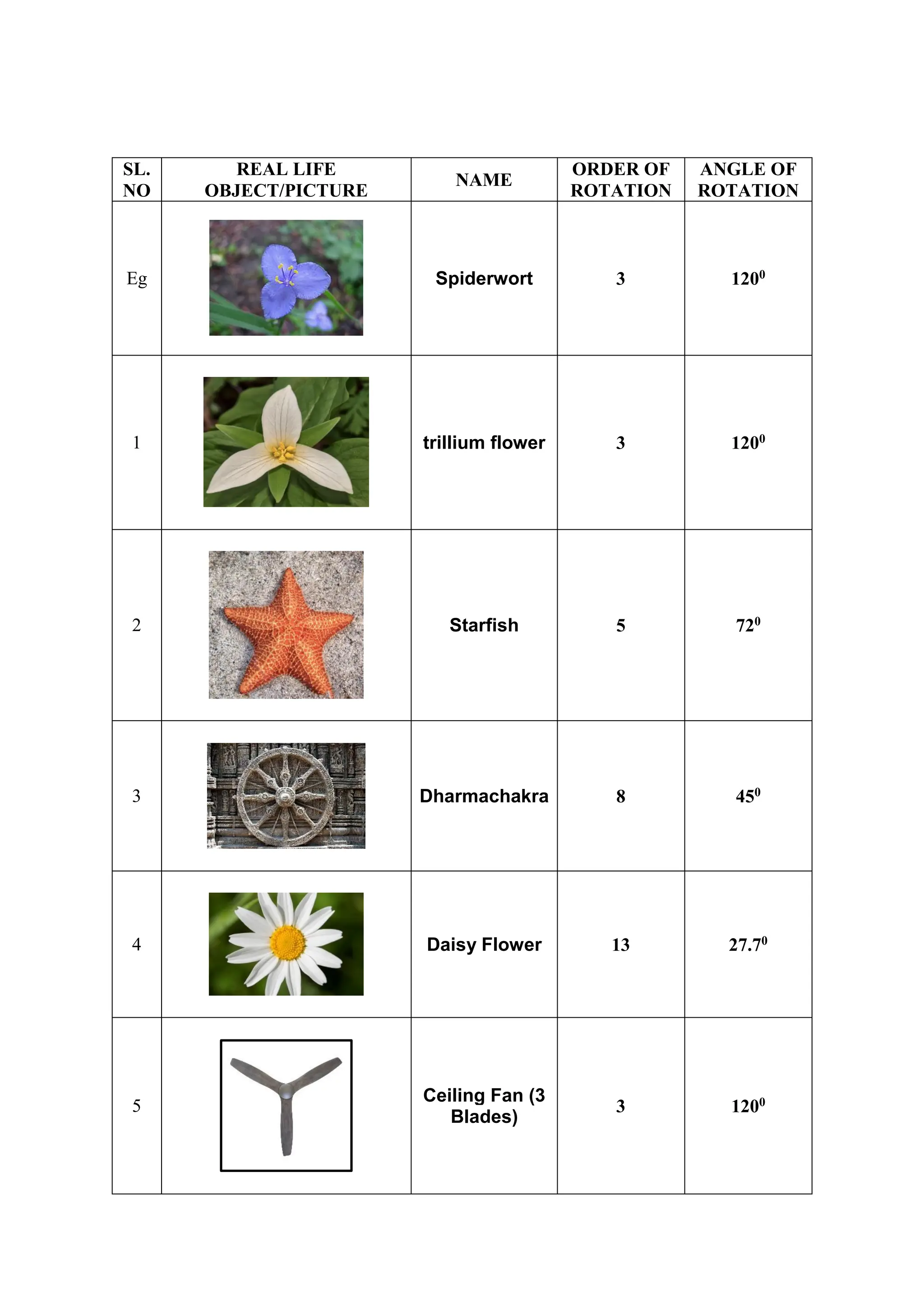 Class_7_Math_Activity_Rotational_Symmetry_Examples.pdf