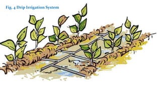 Fig. 4 Drip Irrigation System
 