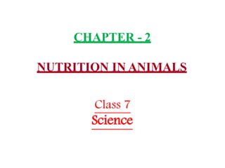 CHAPTER - 2
NUTRITION IN ANIMALS
Class 7
Science
 