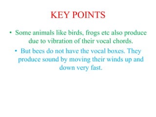 KEY POINTS
• Some animals like birds, frogs etc also produce
due to vibration of their vocal chords.
• But bees do not have the vocal boxes. They
produce sound by moving their winds up and
down very fast.
 