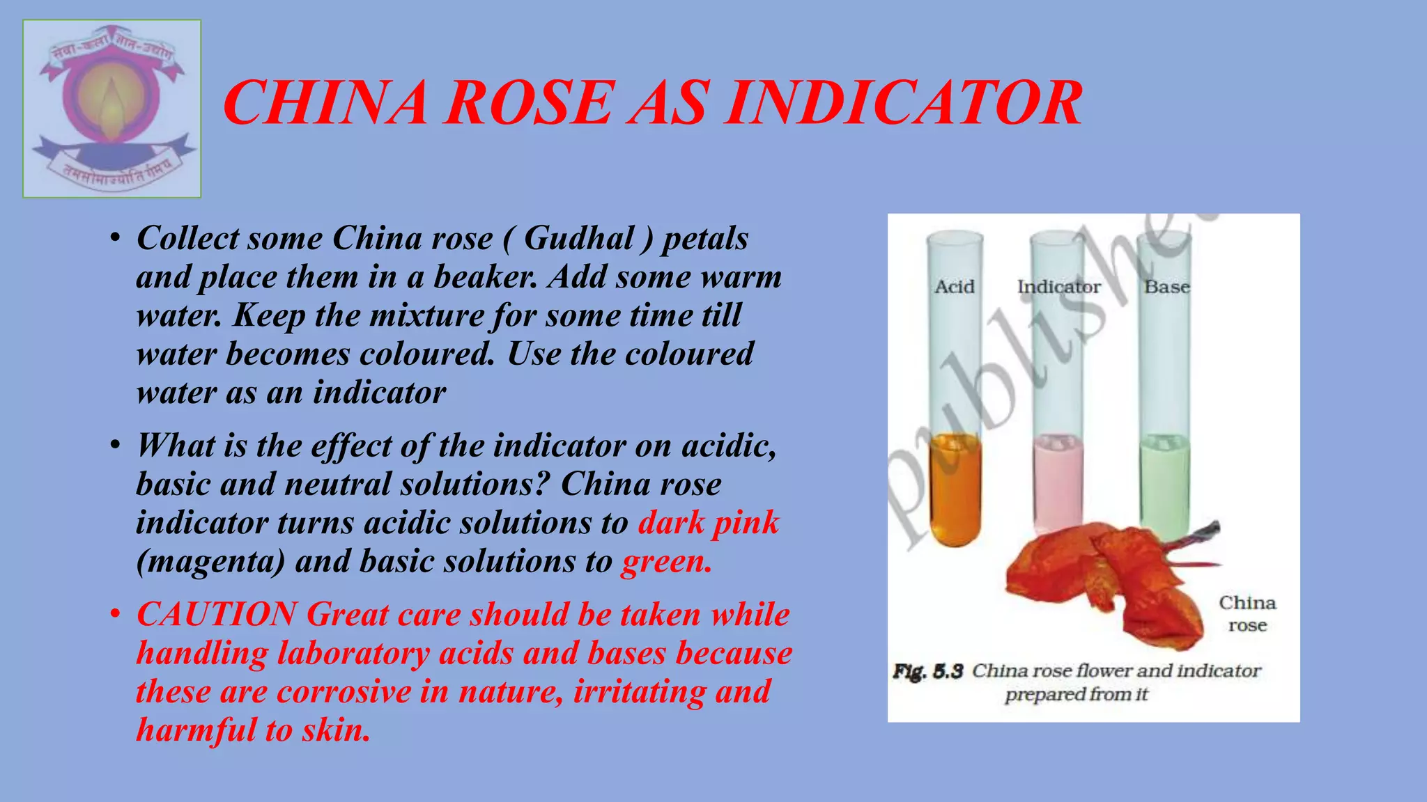 • Collect some China rose ( Gudhal ) petals
and place them in a beaker. Add some warm
water. Keep the mixture for some time till
water becomes coloured. Use the coloured
water as an indicator
• What is the effect of the indicator on acidic,
basic and neutral solutions? China rose
indicator turns acidic solutions to dark pink
(magenta) and basic solutions to green.
• CAUTION Great care should be taken while
handling laboratory acids and bases because
these are corrosive in nature, irritating and
harmful to skin.
CHINA ROSE AS INDICATOR
 