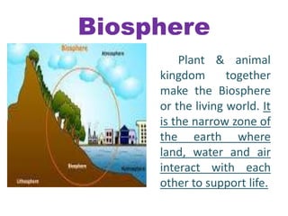 Our NAtural Environment | PPTX