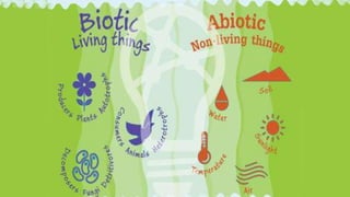 COMPONENTS OF ENVIRONMENT
 