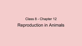 Class 8 - Chapter 12
Reproduction in Animals
 