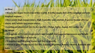 Class 8 Agriculture updated.pptx
