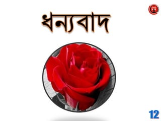 Class 8 bangladesh & global studies chapter  4,lesson-2