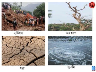 ভূ মিধস
খরা
িরুকরণ
সুনামি
 