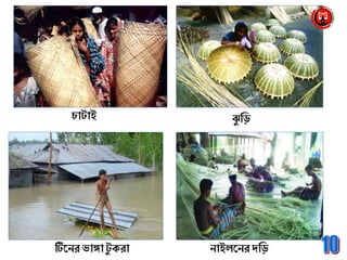 চাটাই ঝু ব্রড়
োইলনের েব্রড়টিনের ভাঙ্গা টু ক্রা
 