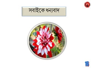 স্বাইত ধনযবাদ
 