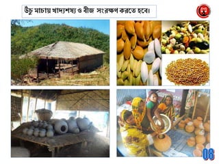 উঁচু মাচায় খােযশষয ও বীজ সাংরক্ষি ক্রনি হনব।
 