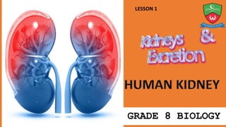 GRADE 8 BIOLOGY
LESSON 1
 
