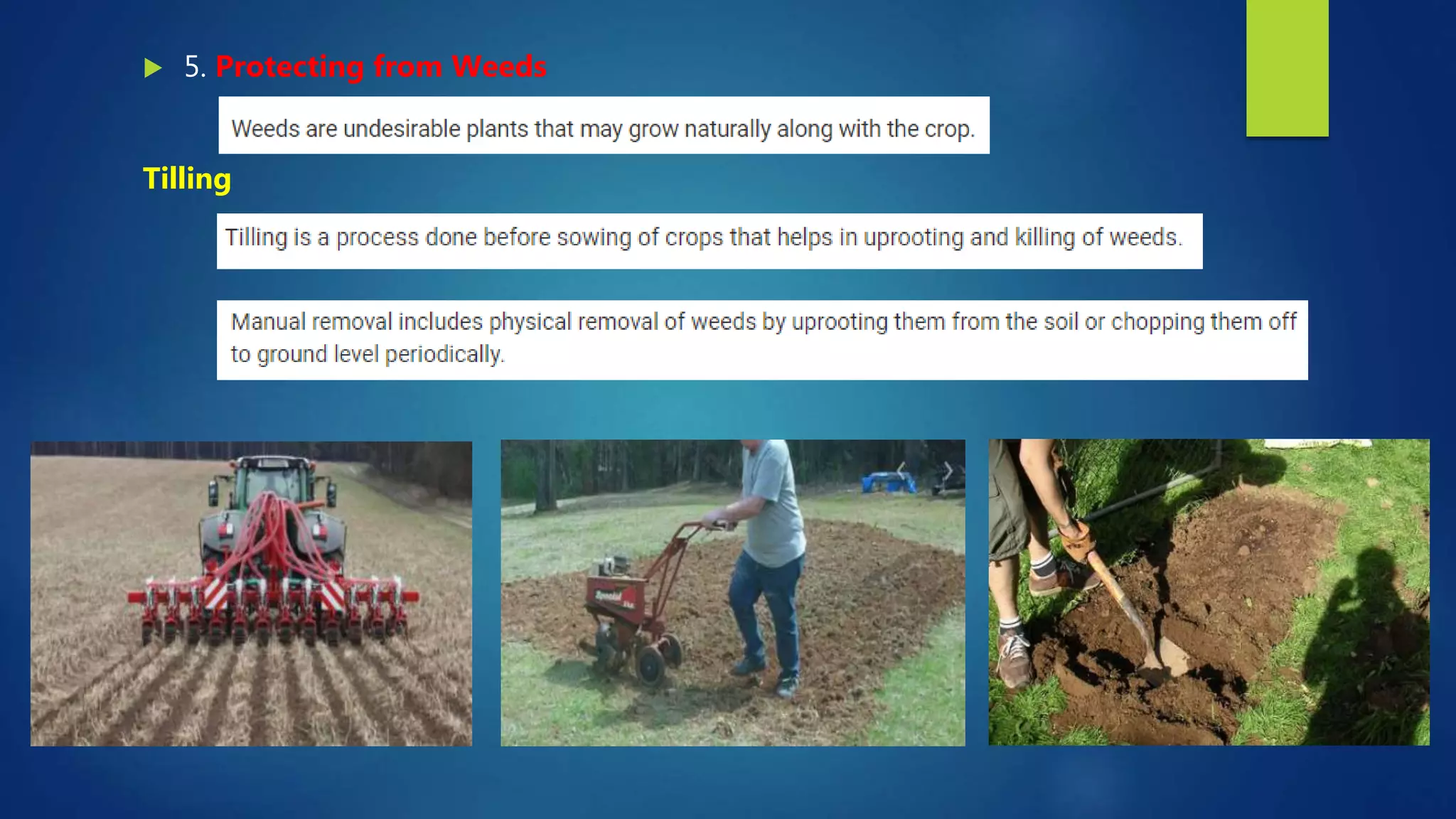  5. Protecting from Weeds
Tilling
 