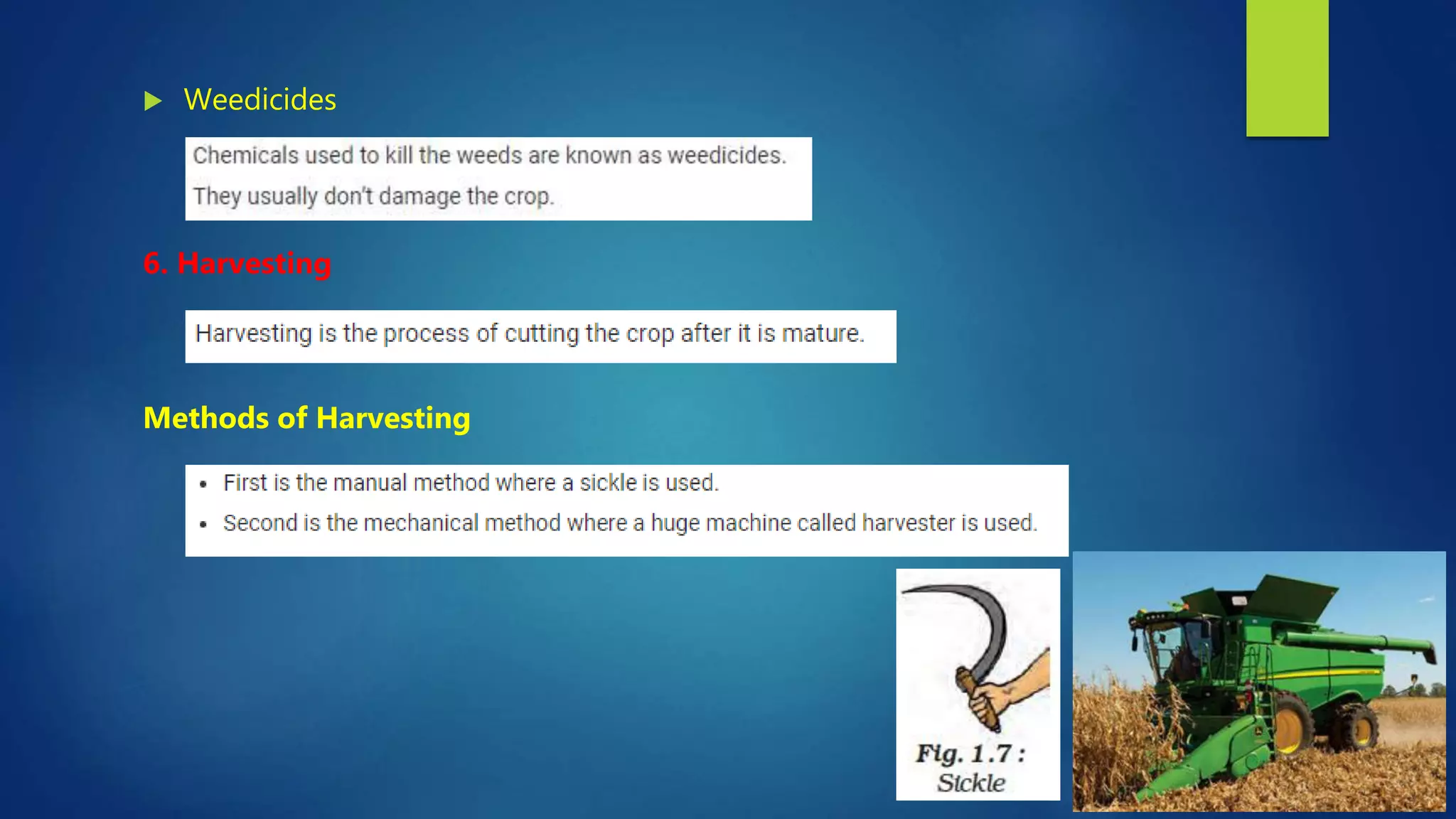  Weedicides
6. Harvesting
Methods of Harvesting
 