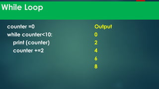 Class 8 Computer Programming languages.pptx