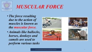 MUSCULAR FORCE
• The force resulting
due to the action of
muscles is known as
the muscular force.
• Animals like bullocks,
horses, donkeys and
camels are used to
perform various tasks
M.V.HERWADKAR ENGLISH MEDIUM SCHOOL 9
 