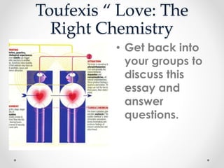 Toufexis “ Love: The
Right Chemistry
• Get back into
your groups to
discuss this
essay and
answer
questions.
 