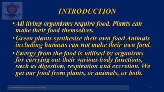 INTRODUCTION
•All living organisms require food. Plants can
make their food themselves.
•Green plants synthesise their own food Animals
including humans can not make their own food.
•Energy from the food is utilised by organisms
for carrying out their various body functions,
such as digestion, respiration and excretion. We
get our food from plants, or animals, or both.
M.V.HERWADKAR ENGLISH MEDIUM SCHOOL 2
 