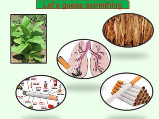 Let’s guess something
 