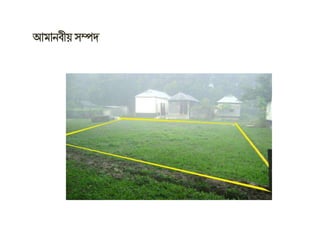 Class 8 home economics chapter 1 class 5