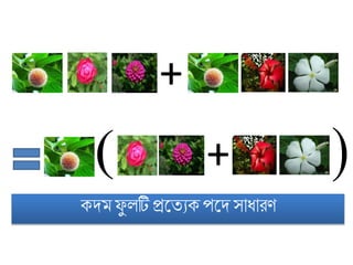  
কদ িু লটি প্রট্তযকপট্দসোধ্োরি
+
+
 