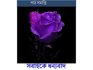 পোঠ স োফি
েবাইসে ধনযবাদ
 